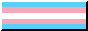 trans flag