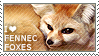 I love fennec foxes