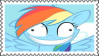 crazy rainbow dash