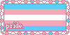 trans pride