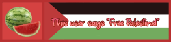 this user says free palestine